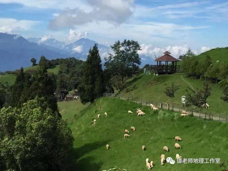 【热门考区】台湾十大著名观光牧场，你去过哪个？