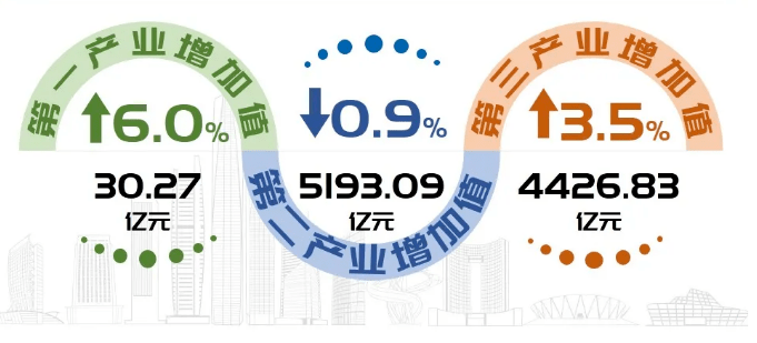 2020雨花区GDP官宣_官宣图片