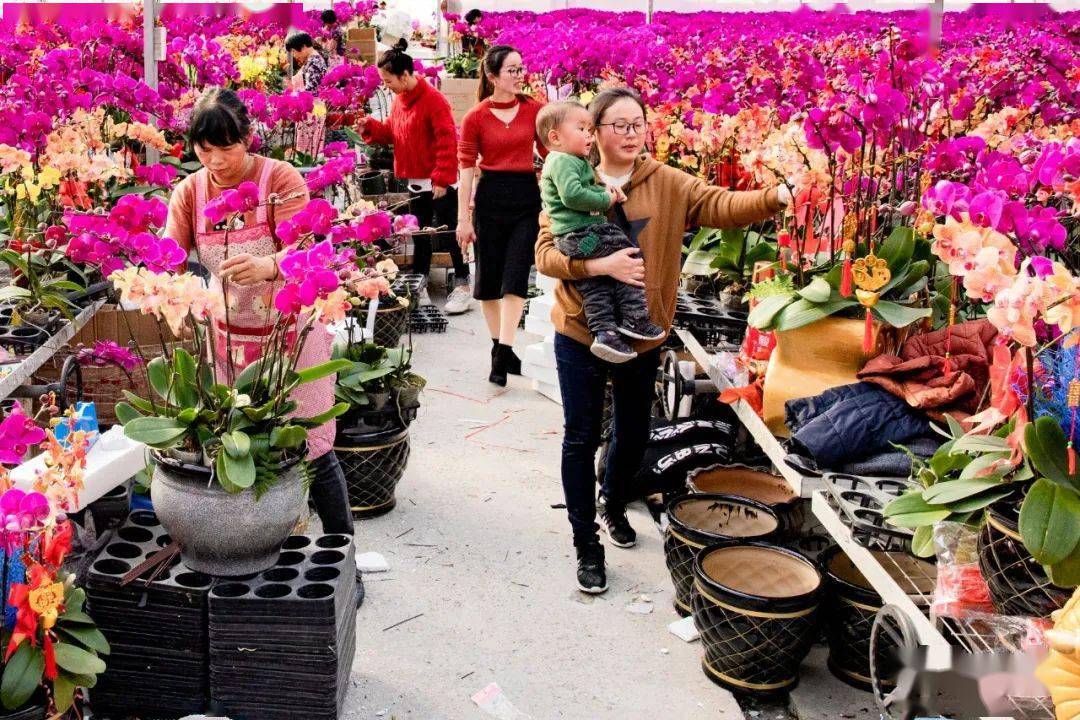 永春县湖洋镇的一处浪漫花圃世界_手机搜狐网