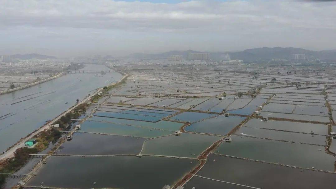 饶平县总人口_广东饶平县最偏远的镇,人口约7万,和江西一个地级市同名(3)