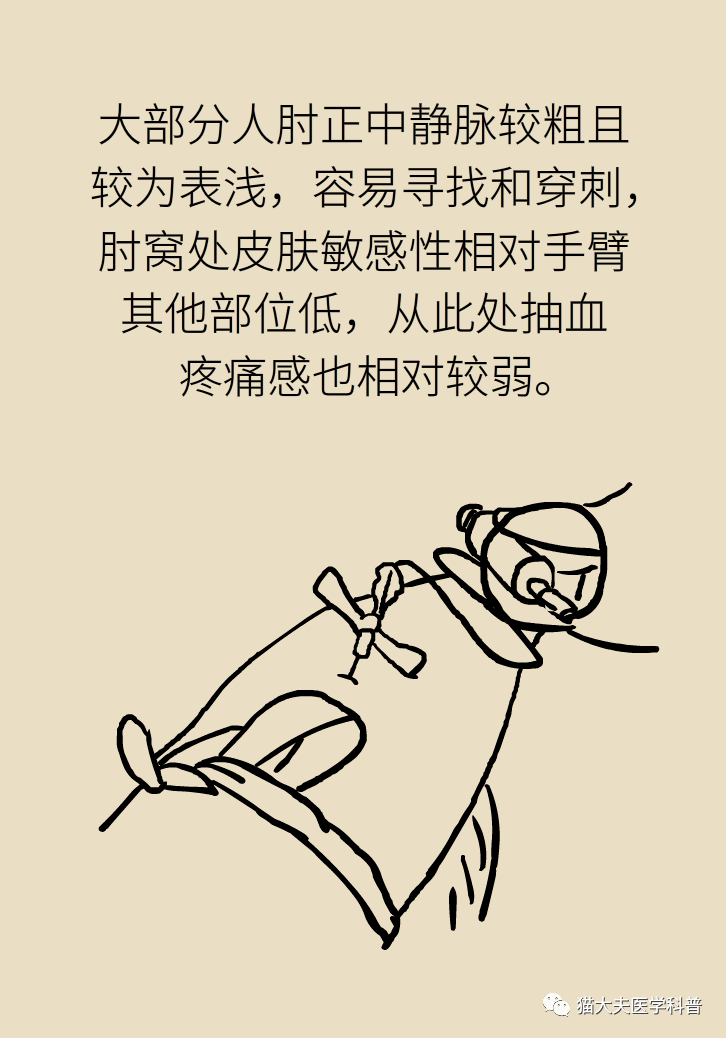 成语青什么血(5)