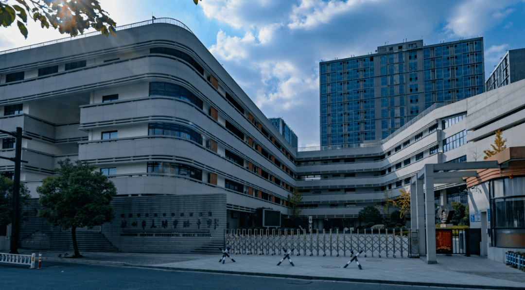 拱宸桥小学杭州市卖鱼桥小学杭州市大关实验中学2020年浙江省现代化