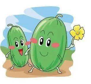 冬瓜浑身都是宝瓜皮也有大用处