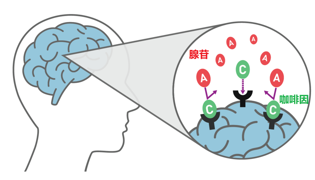 b79f06e2da234924a37e31ab91b15b69.png