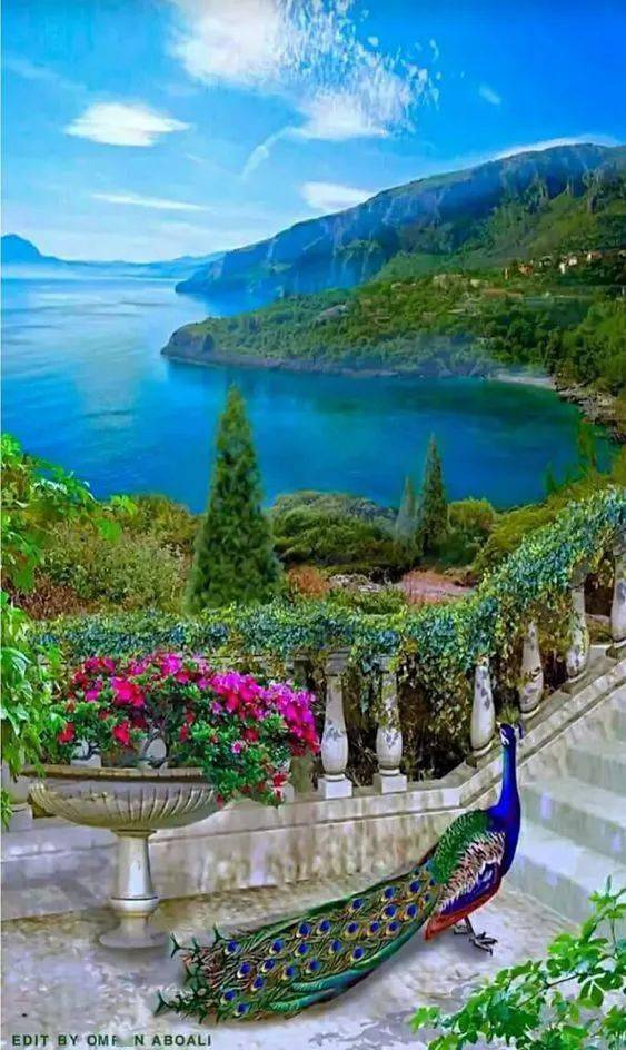 最美照片画册美醉了送给最爱的朋友