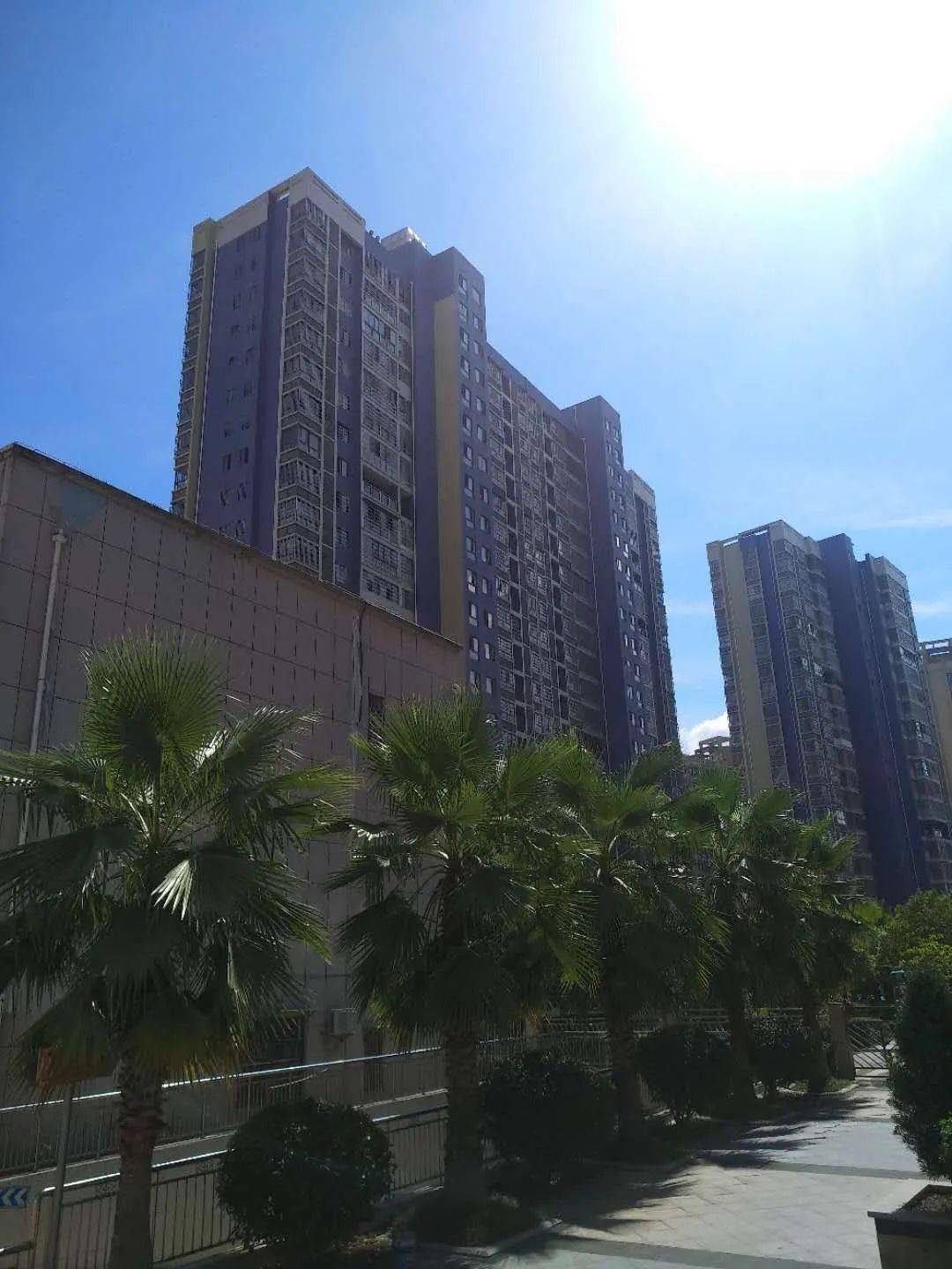 2020年度会昌这些小区物业优秀