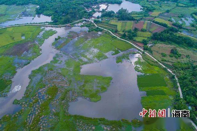 海南做好“水文章” 打造自贸港“灵动”空间