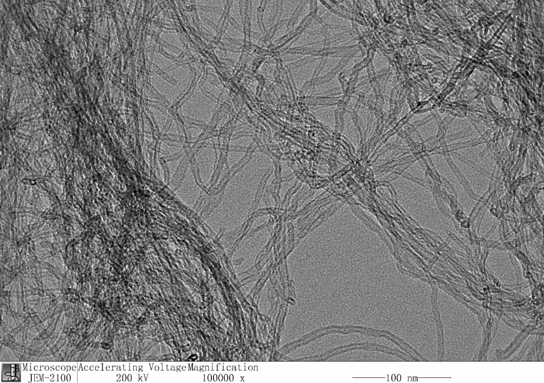 碳纳米管扫描电镜图片图片