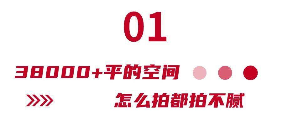 距厦2小时车程！这处38000+平方的宜家商场，够全家人逛吃一天一夜！