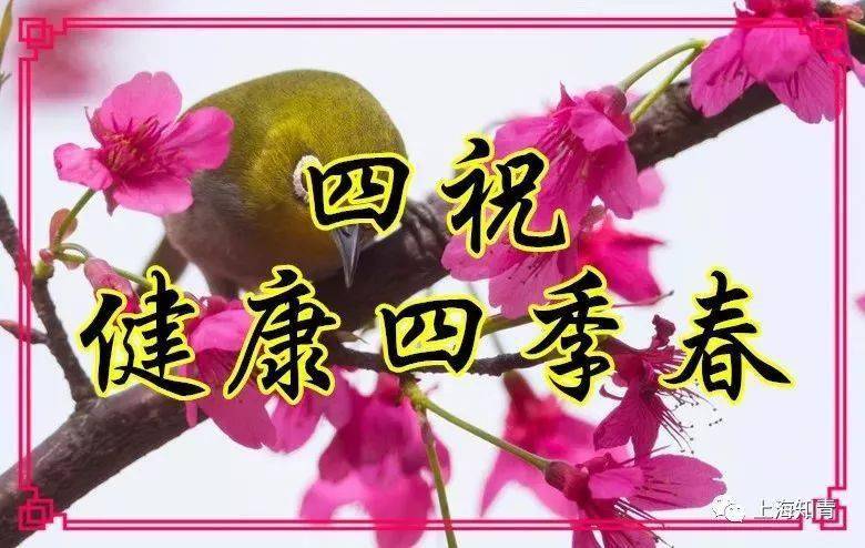 立春来到祝你春风得意春天快乐