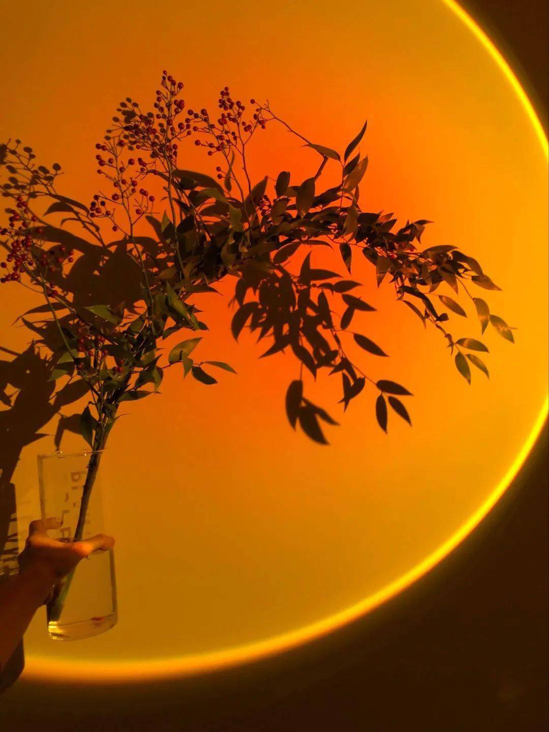 【东岭镇丨北欧ins风丨壹心甜品丨新晋网红打卡店】19.