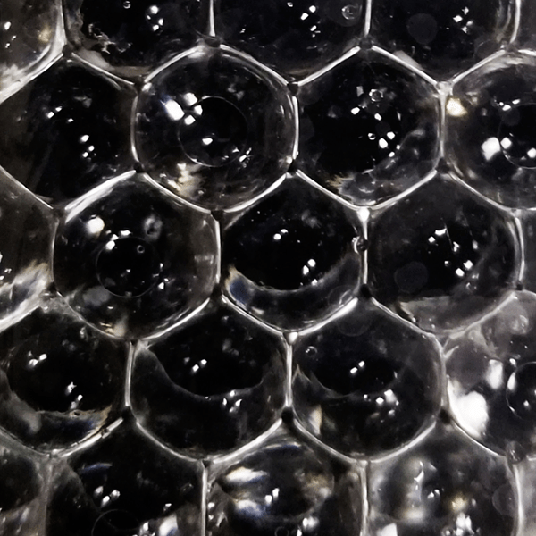 蜂箱门口出现大量黑色的蜜蜂 蜂箱门口出现大量黑色的蜜蜂怎么办