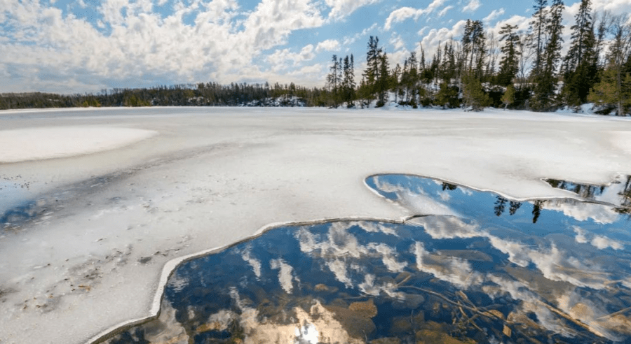 立春柳色早黄浅水文新绿微一同来抚州踏春吧
