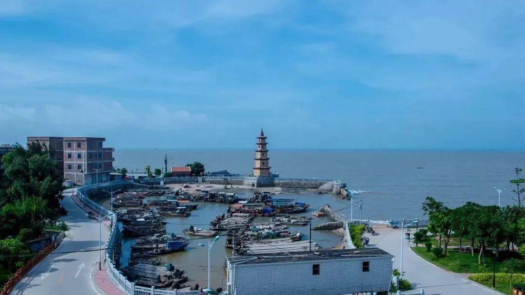 东石人快看看家乡今年的变化