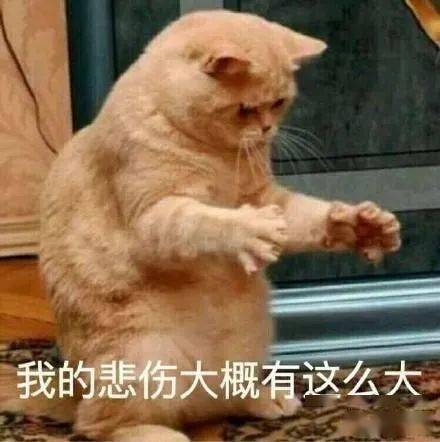 期待已久的直播终于到了,鼠年最后一局还没来!!!