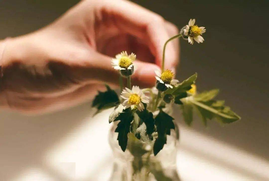 什么样才是好的心态 42ed9d57570044b3b604cefc9bdda70e.jpeg