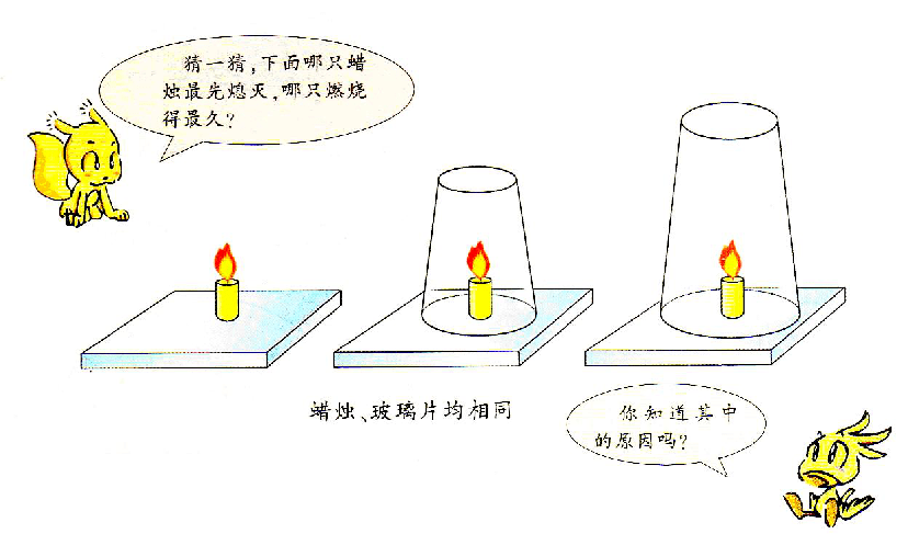 自制蜡烛原理图片