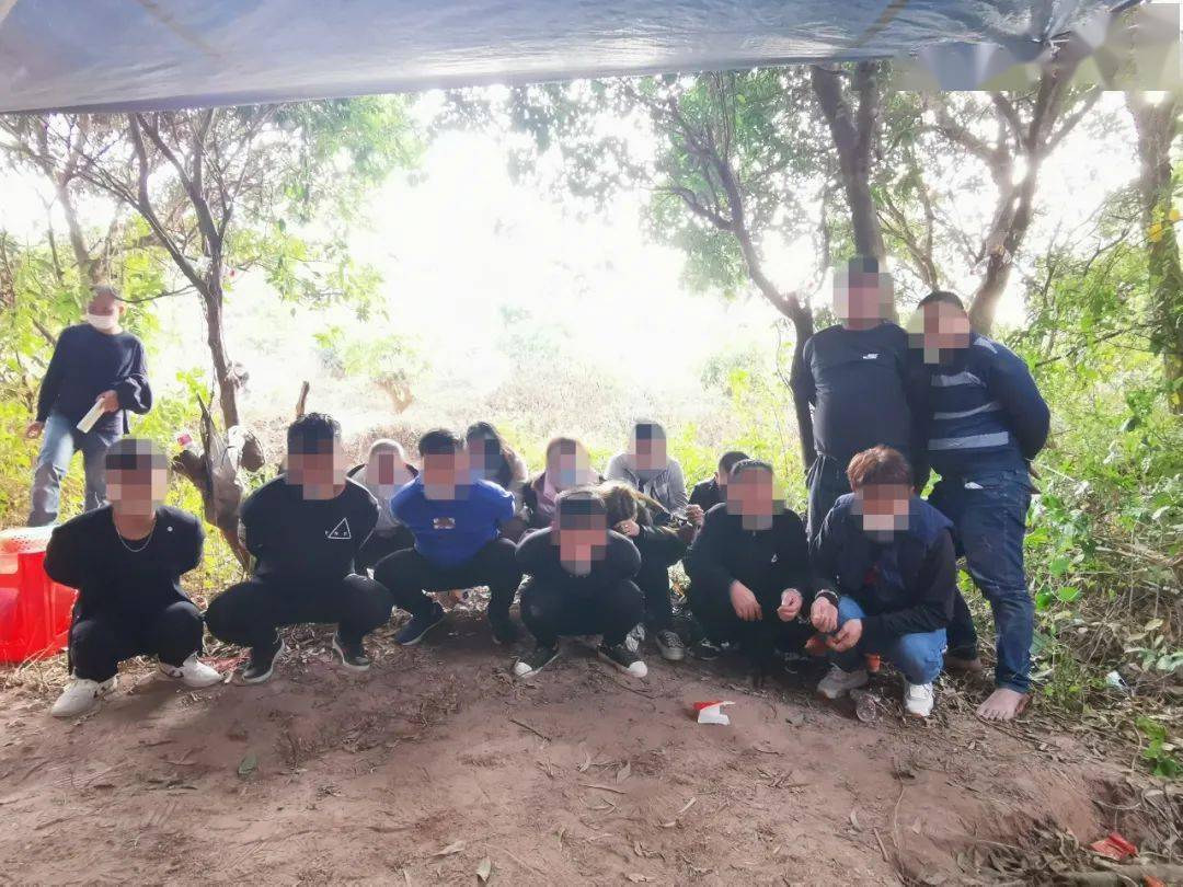 电白有人在荔枝园聚众赌博,被警方抓了个正着!