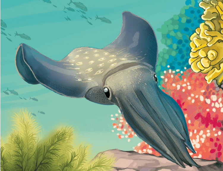 小年特辑——它们适合做饺子馅