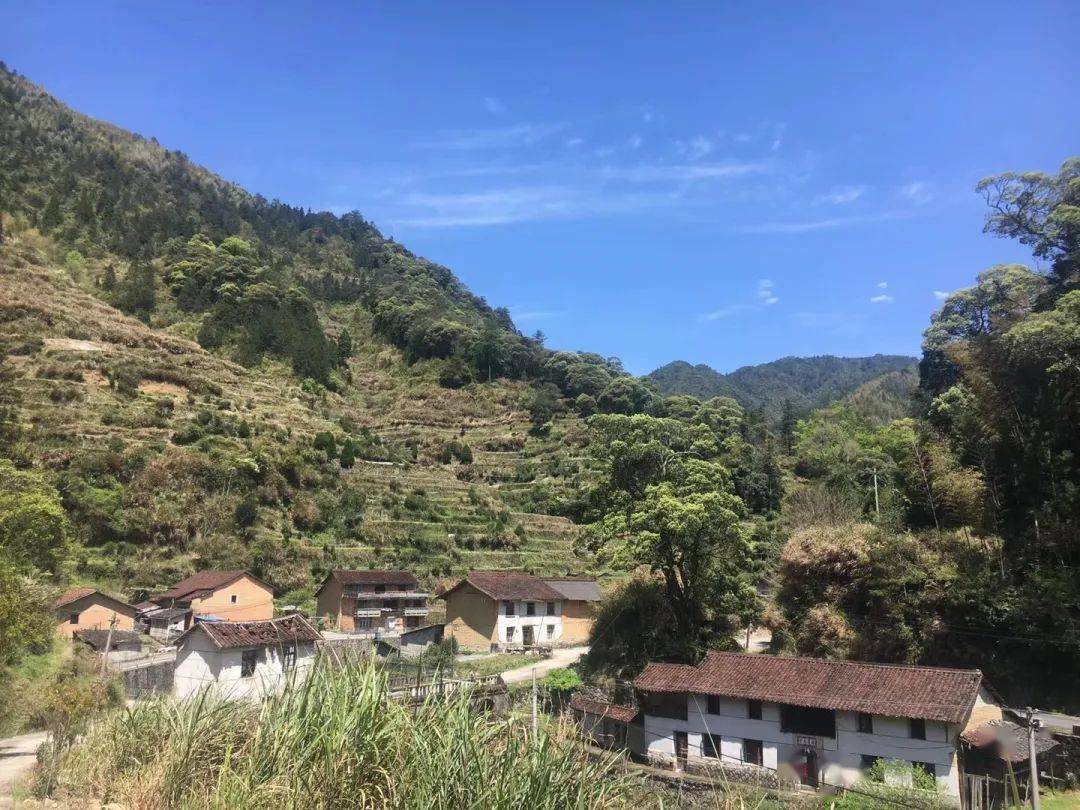 英川黄谢圩这个不大不小的地方却藏着我们深深眷恋的味道