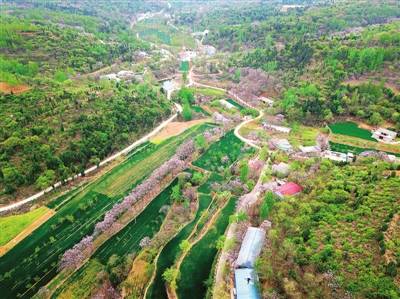 深挖伏羲山文旅品牌 丰富乡村游线路业态