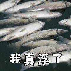 你想要的沙雕表情包我都能安排