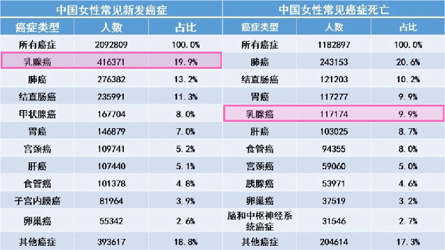 2020中国死亡人口数据_中国人口老龄化数据图