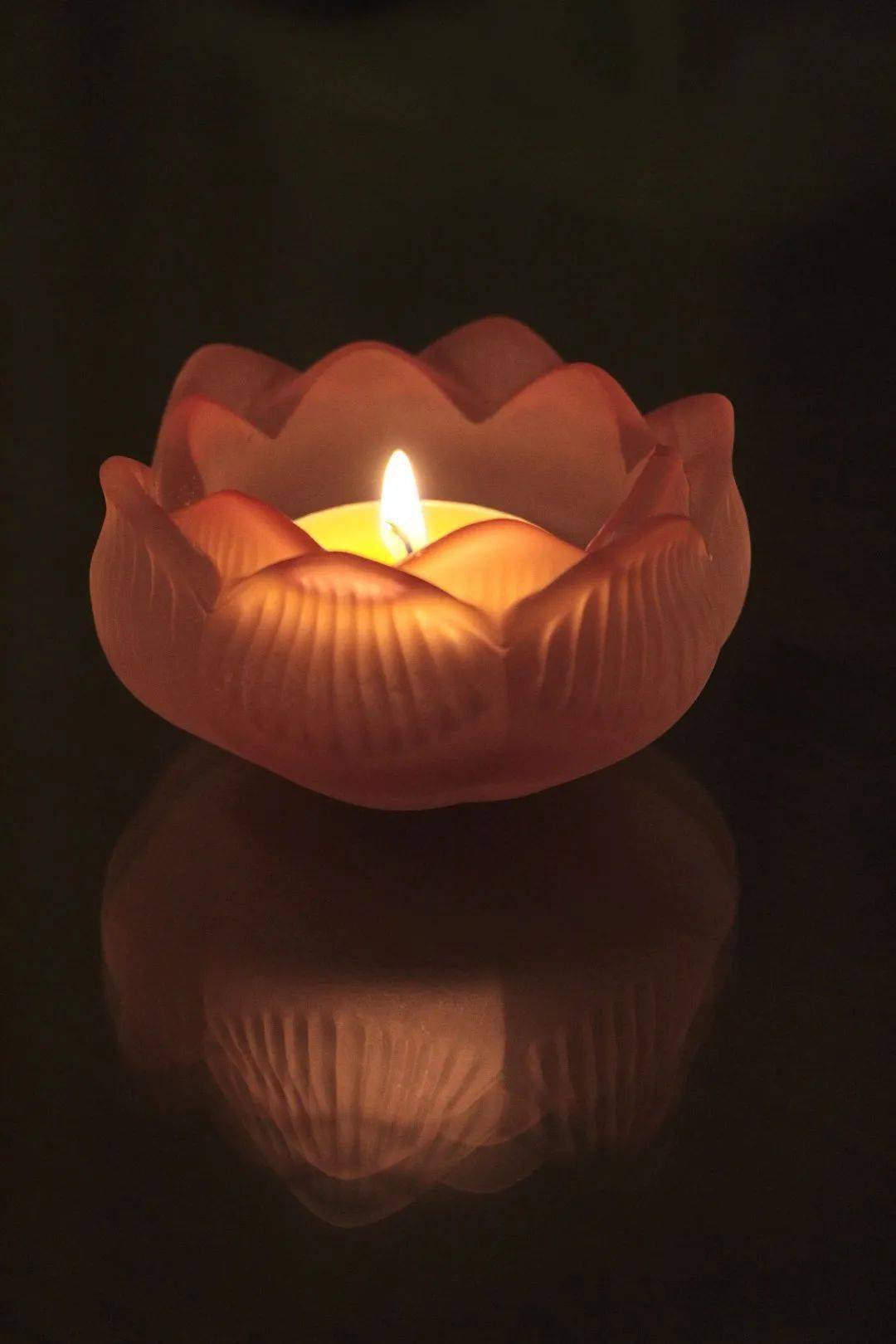 快乐星期五～妙光法师有约 "the blind lamp"_named