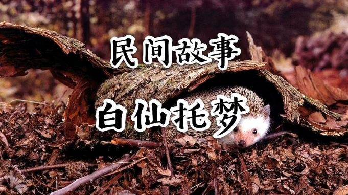 民间故事白仙托梦