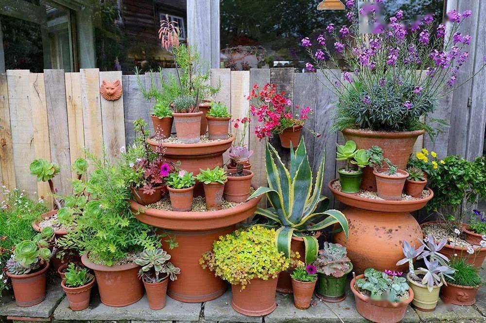 看完这个想把家里花盆丢了