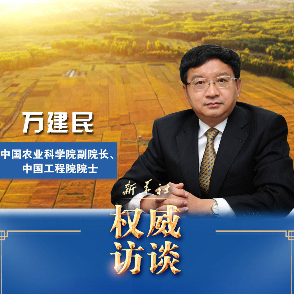 万人服务器市场现状及价格趋势预测