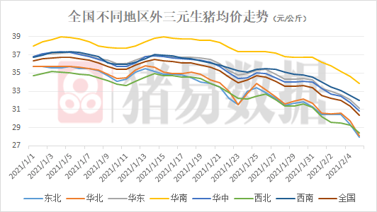 猪价一周下跌3.33元/斤,会在春节前上涨吗?生猪价格大幅下跌,市场有所改善