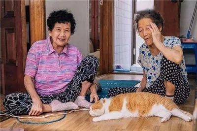 被奶奶帶大的橘貓，這畫風果然就是跟別人家的貓咪不太一樣啊... 萌趣萌寵 第15张