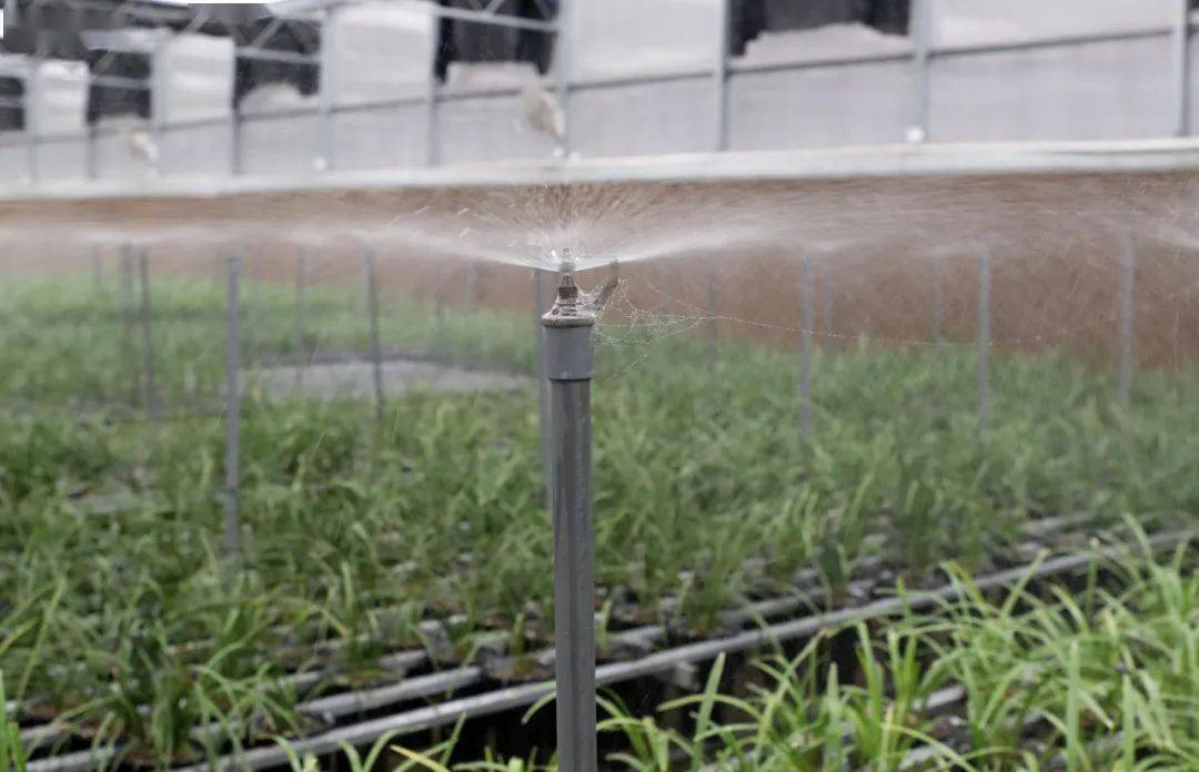 引水节水科学用水北仑农企拧紧农田灌溉水龙头