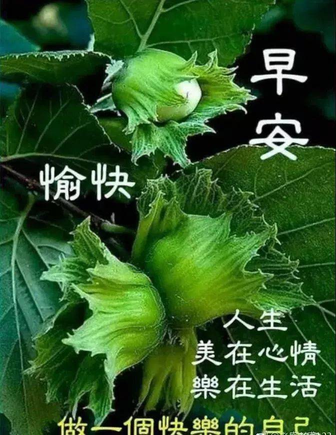 清晨暖心的早安問候祝福語錄早安圖片陽光祝福動態表情