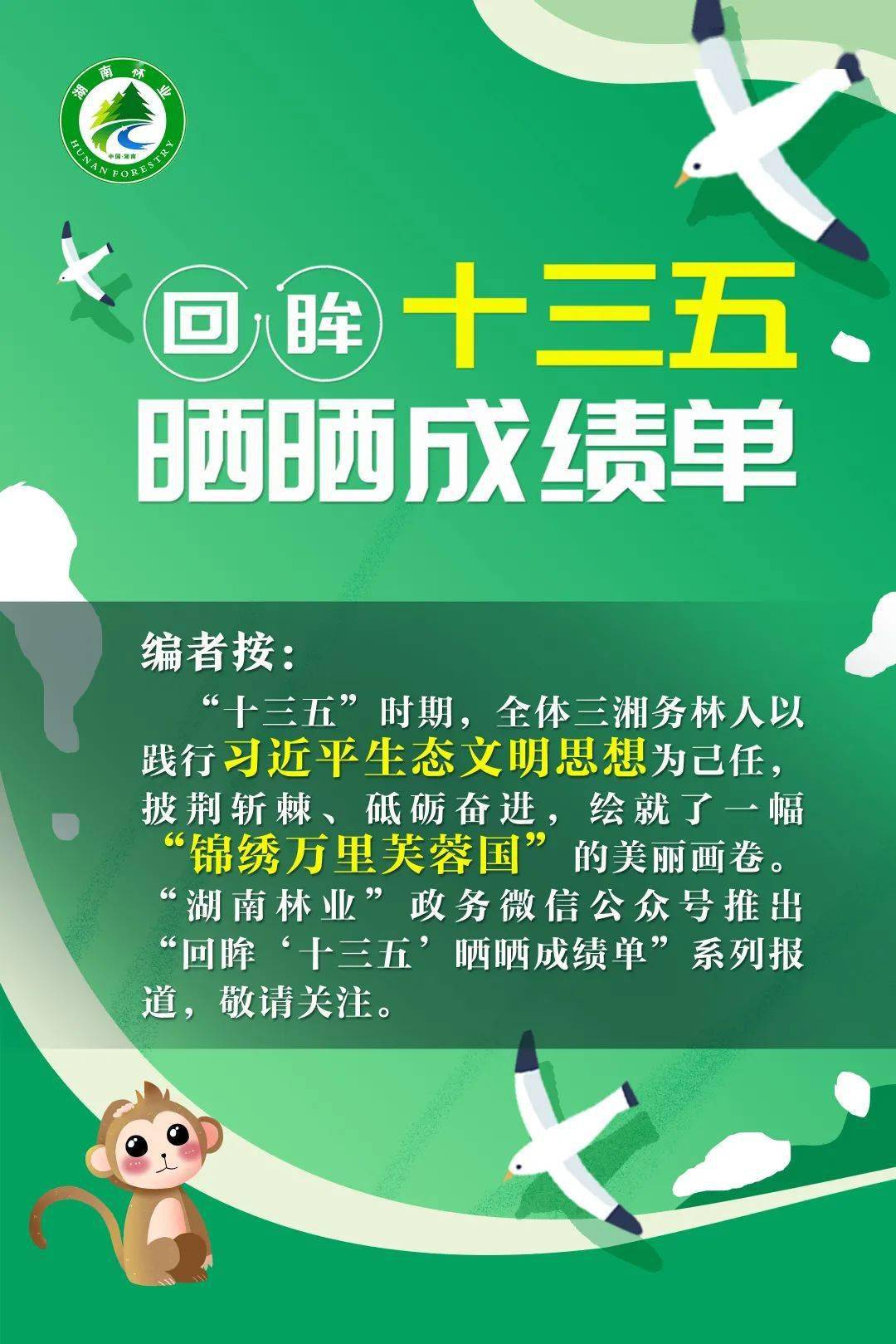 回眸十三五 晒晒成绩单丨保护野生动植物 守护我们共同的家园