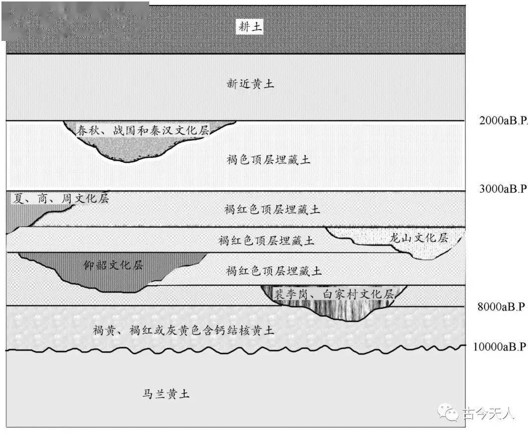 坡头黄土指全新世形成的埋藏黑垆土及其上覆的黄土层,由刘东生等以