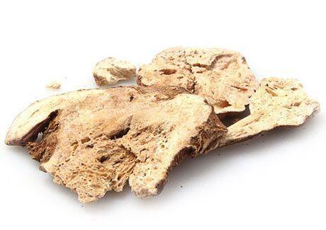 每日一味中药——白术_棕色