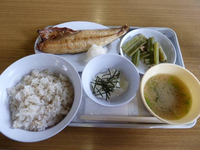 日本的政府公务员食堂公司职员食堂会是怎样的有些什么特色