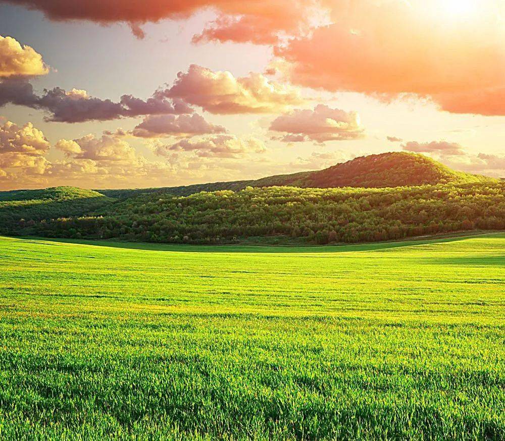 和你在一起走进美丽的春天