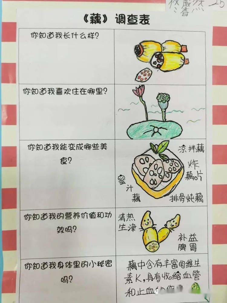 爱四季藕然遇见你