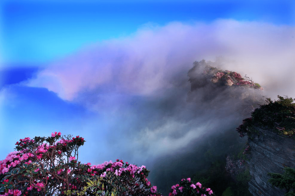 光雾山十景|云岭花海(附美图)