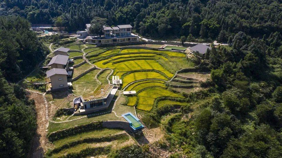 新作 | 可居可游，在半山稻田之间 - 重庆垫江巴谷宿集建筑设计 / 三文建筑