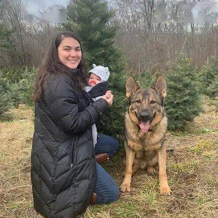 兇猛警犬下班之後，居然愛在家帶孩子，主人：它比媽媽還溫柔！ 萌趣萌寵 第7张