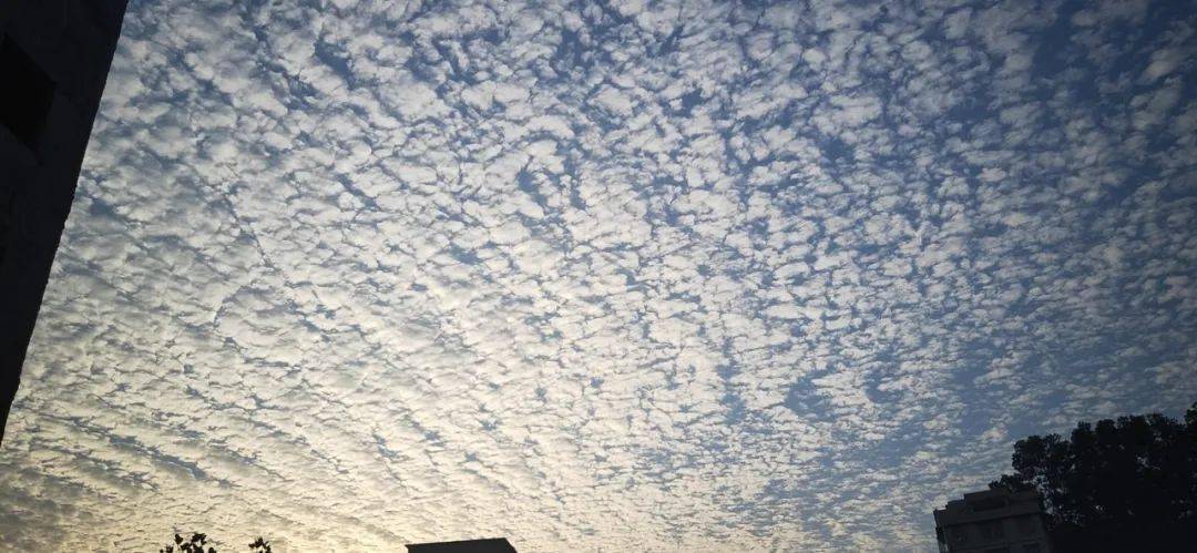 信宜惊现鱼鳞天画面太美是要变天了吗