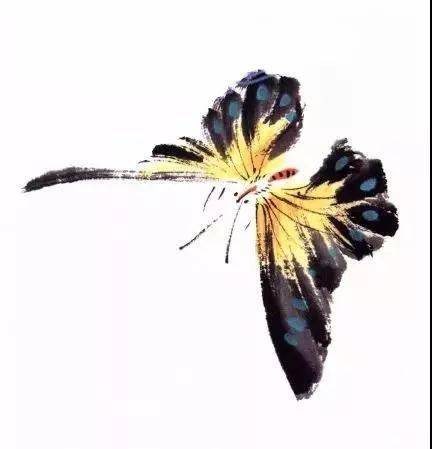 海棠蛱蝶图的上色步骤图片