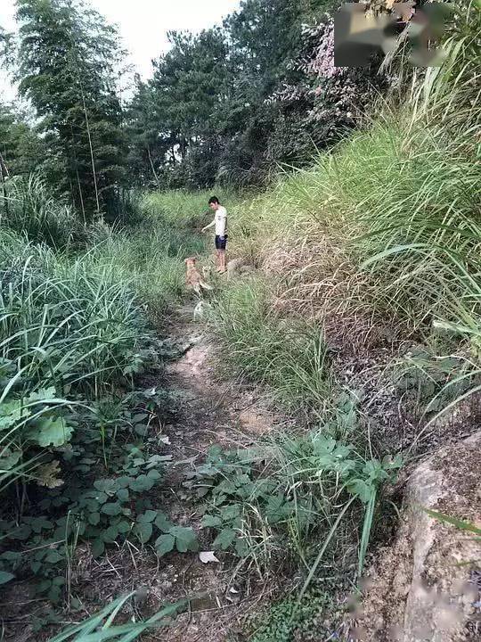 狗又不會說話，你怎麼知道它愛你？ 萌趣萌寵 第7张
