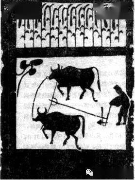 二牛抬杠式牛耕画像石(陕西米脂官庄村出土)牛耕和铁农具的使用,对