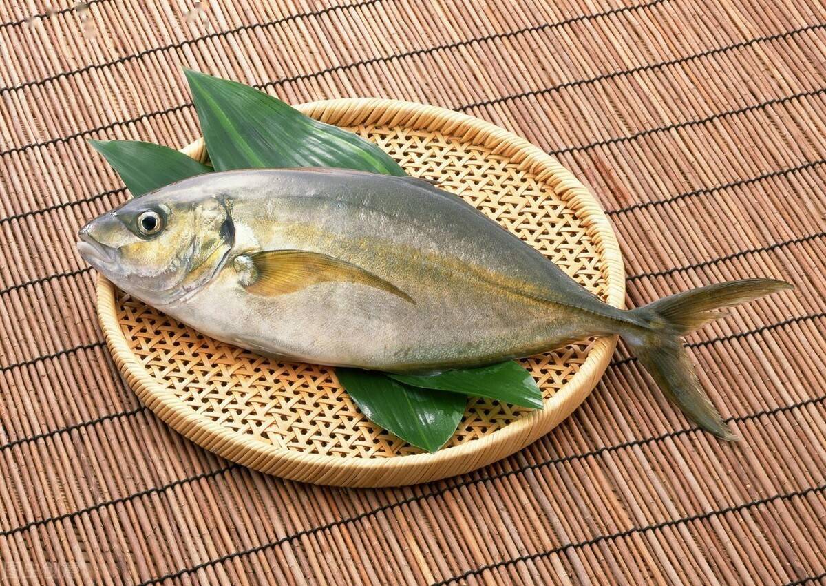  这4种鱼或会影响健康，提醒家里人最好少往餐桌上摆  什么生肖不适合养鱼