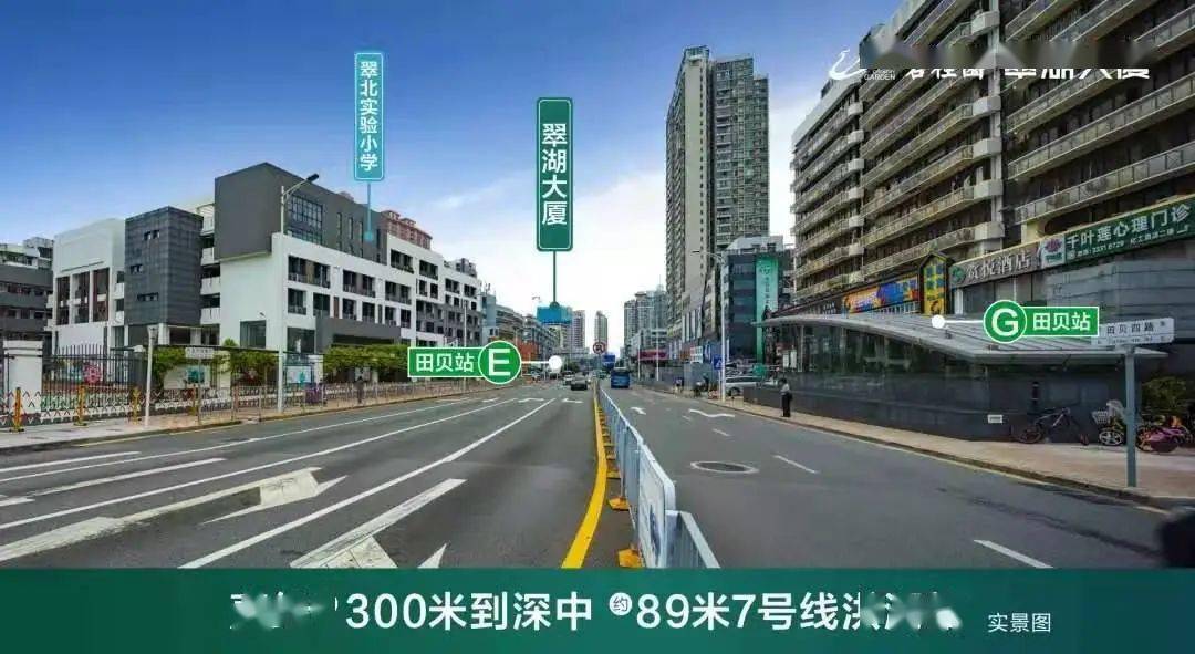 洪湖市2000年gdp_洪湖市赵玉清图片(3)